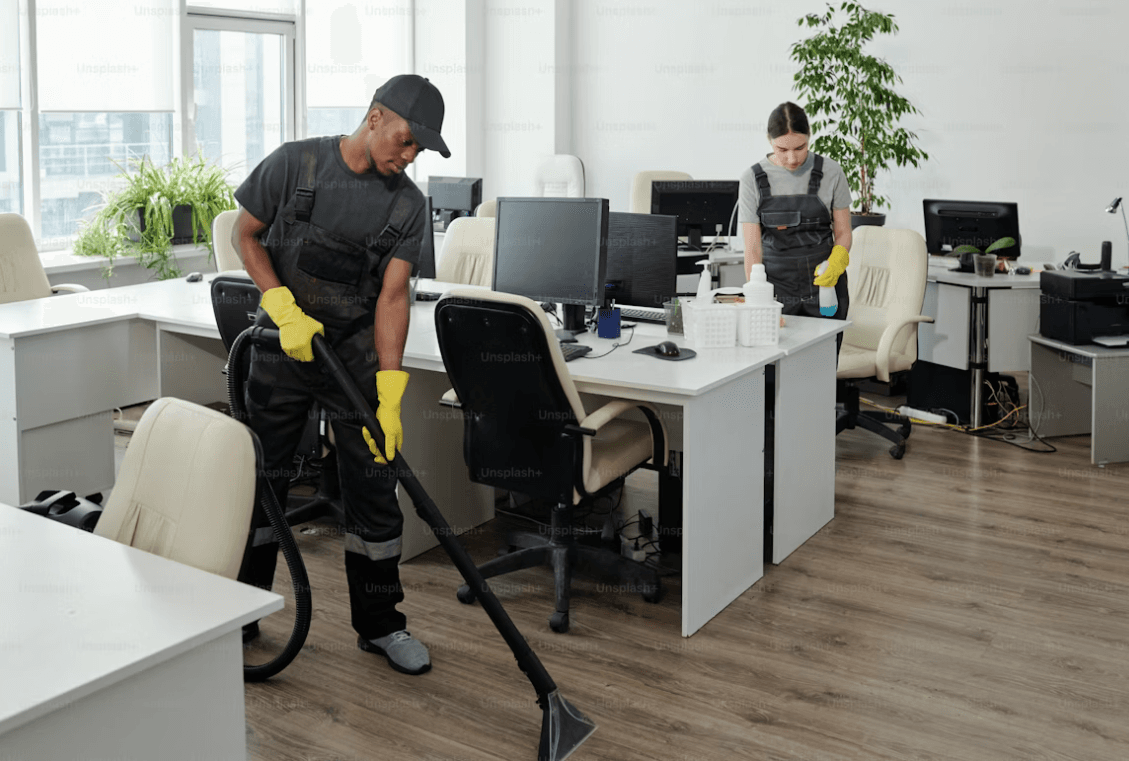 Professional cleaner